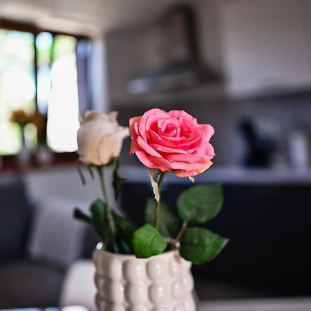 Apartment Barbara 비빈제 외부 사진