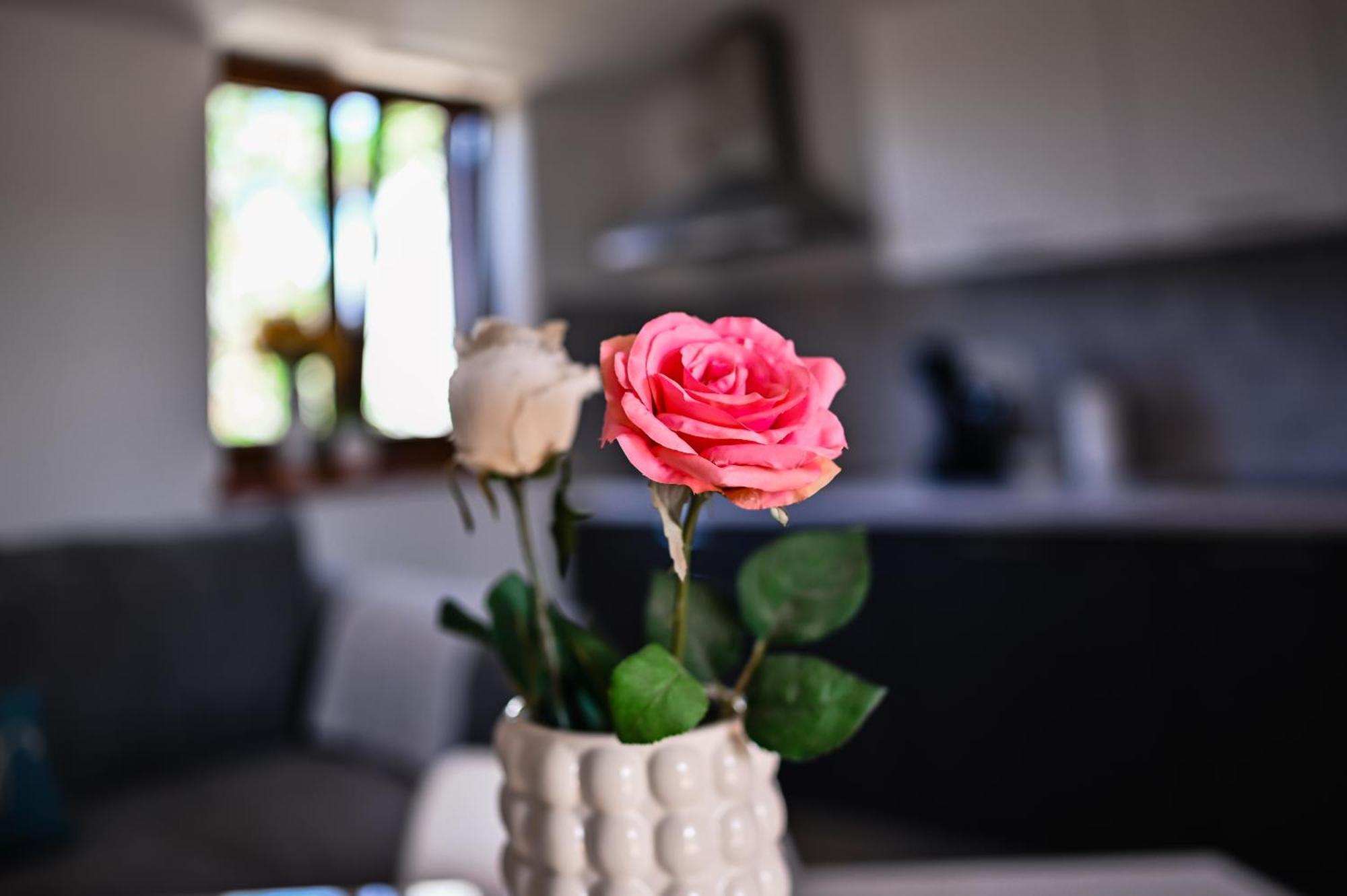 Apartment Barbara 비빈제 외부 사진